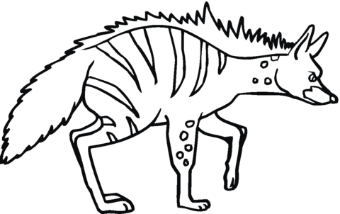 Striped Hyena 5 Coloring Page